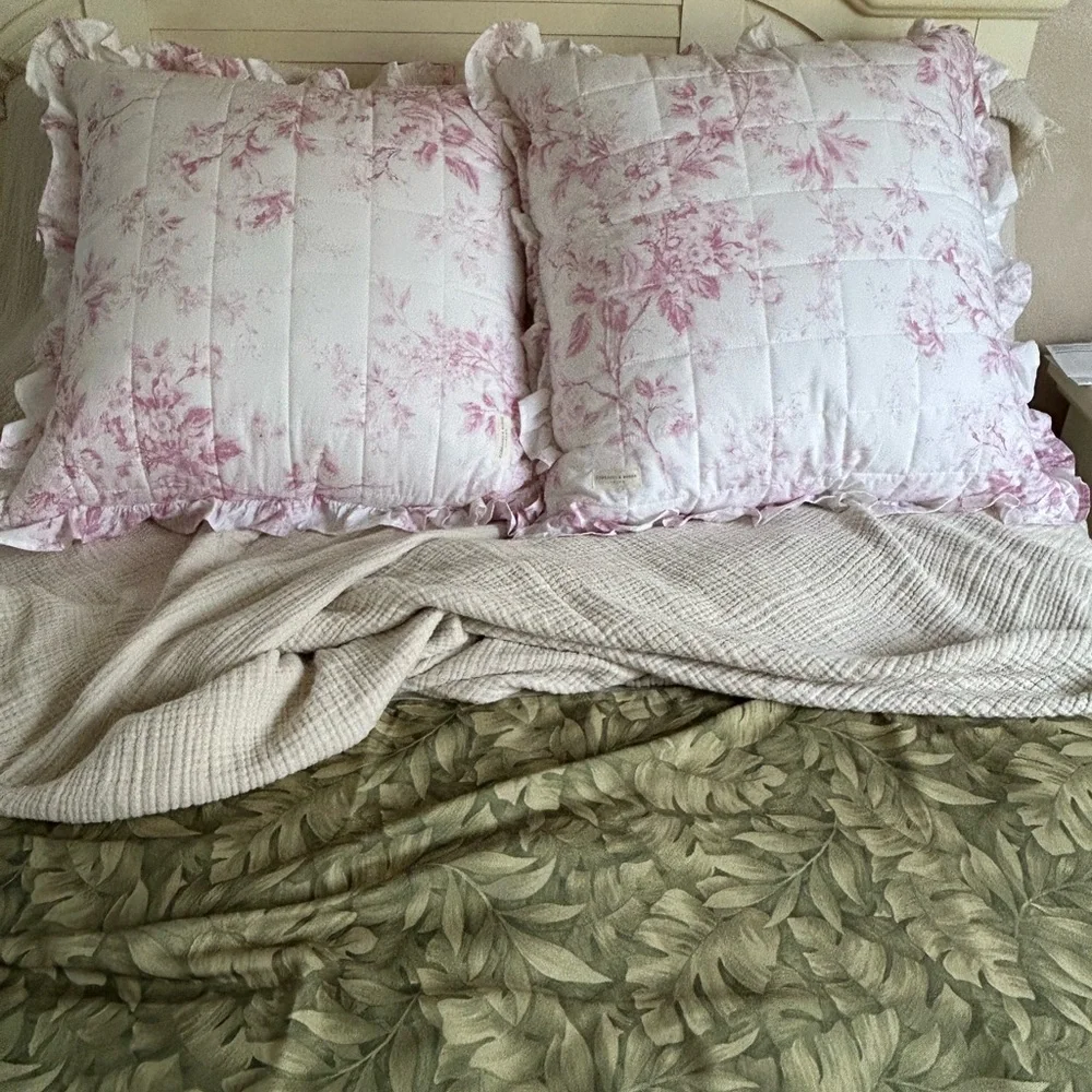 CABBAGES & ROSES Pink Toile Alderney 24” x 24” Euro Shams. Set Of 2. Shams Only